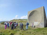 Sound mirror