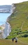 The White Cliffs